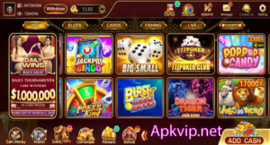 Teen Patti Show