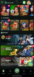 b9 game 