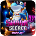 Shark Secret 777 Casino Apk (Latest Version) Download for Android