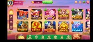 Ludo Asia Game