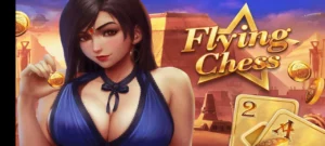 flying chess