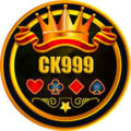 DK999 Game Apk (New Earning App) Download for Android & iOS